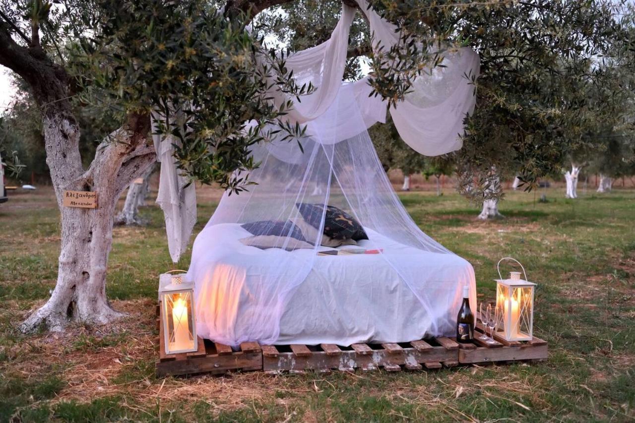 הוילה Glamping At A Lovely Tent In Skiaxtro- מרתופוליס מראה חיצוני תמונה